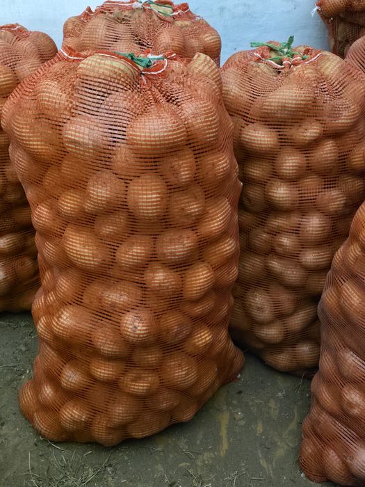 Картошка Домашняя