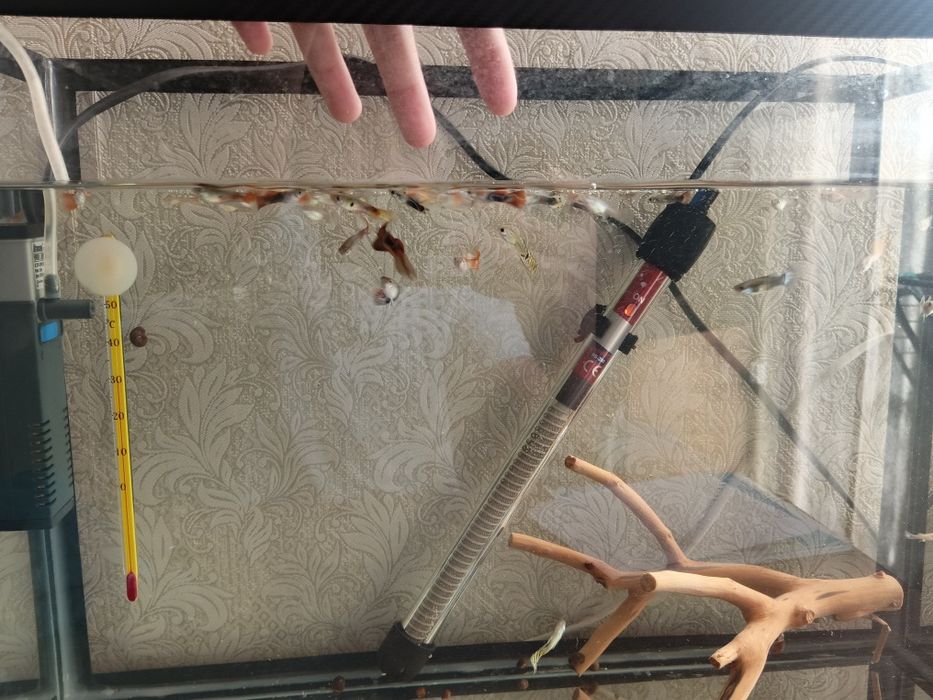 Продам аквариум, полный комплект с рыбками.