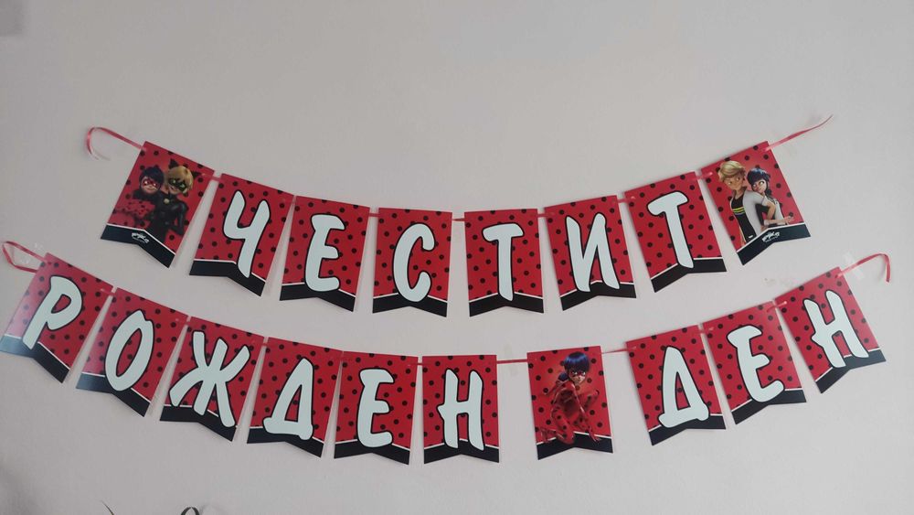 Украса/декорация за детски рожден ден/парти Калинката и Черния котарак