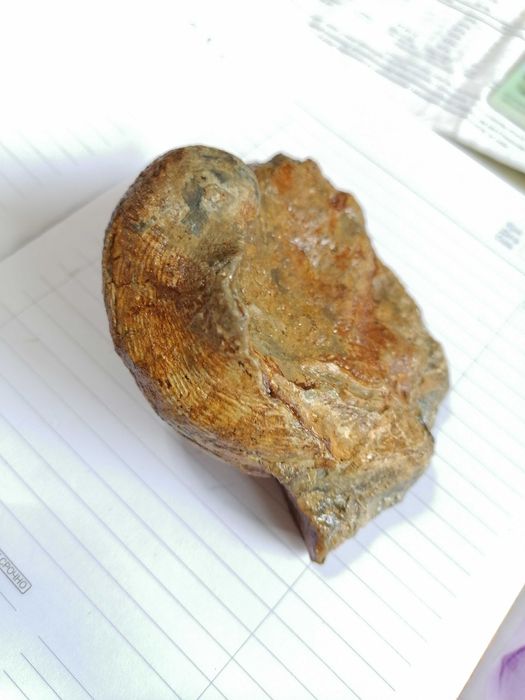 артефакты древней архиологии