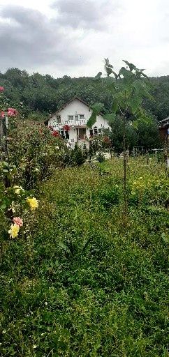 Vând Vila in Toplița!