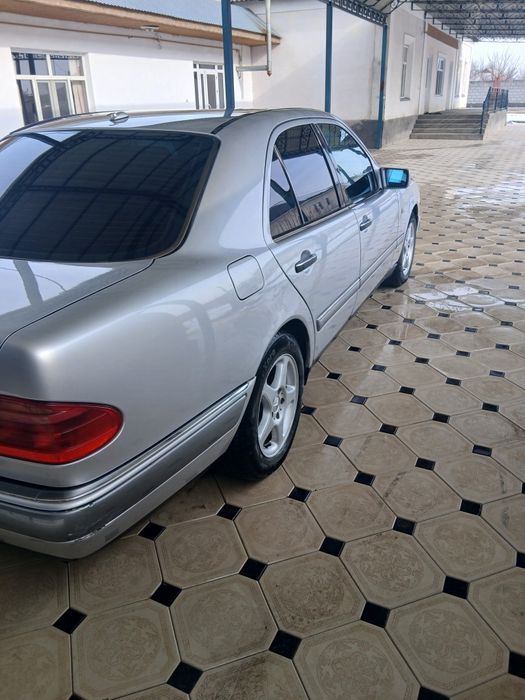 Мерседес лупарик