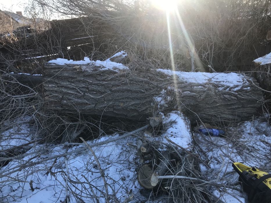 Продам дрова карагач