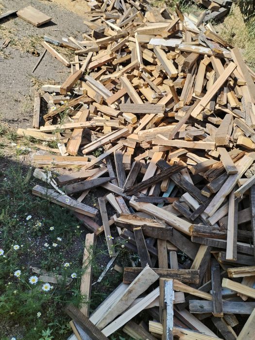Дрова в мешках 1000тг