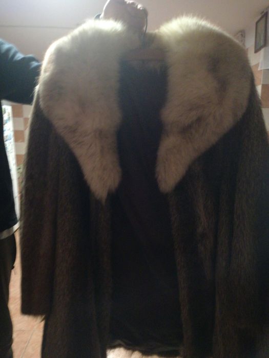 Vind scurta de blana