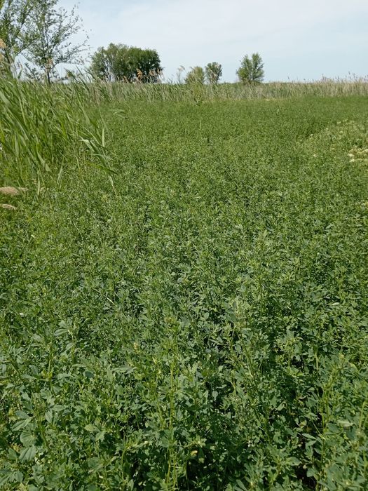 Продам 2,5 гектар земли