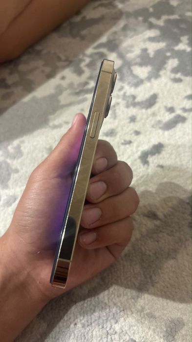 Iphone.    13pro