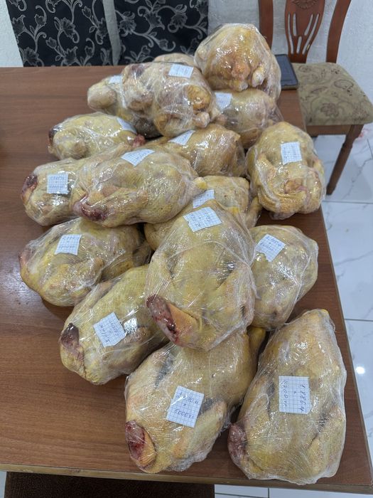 Бройлер  цыплята