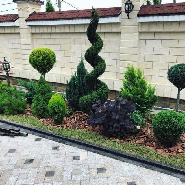 Садовник богбон ландшафт дизайн