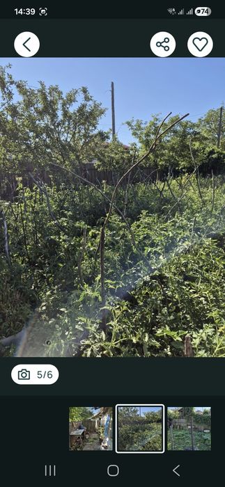 Vind urgent casa batrineasca CERTESTI