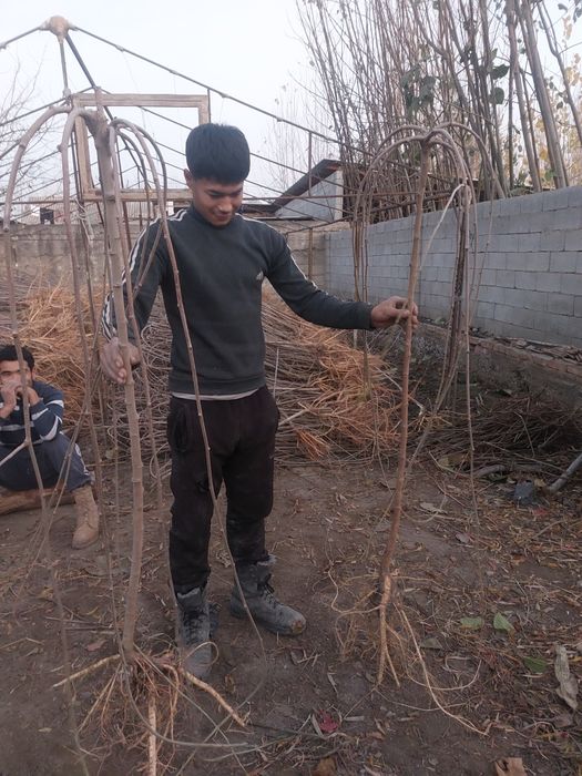 Манзара тут бор. Зонтик Соябон тут сотилади.