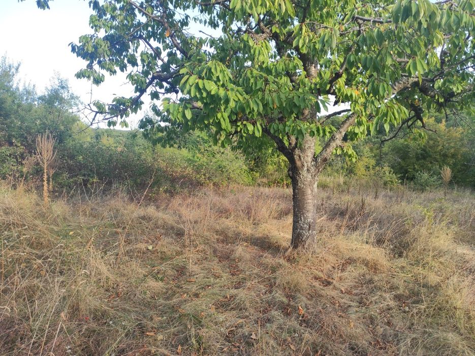 Продава се Парцел в с. Сърнегор, Област Пловдив - 433 кв.м за 18 €/кв.м - Снимка #10