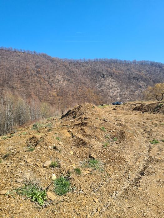 Teren intravilan 703 mp Valea Ierii PLOPI cu CF