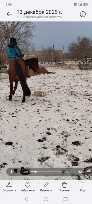 Сельхоз животное