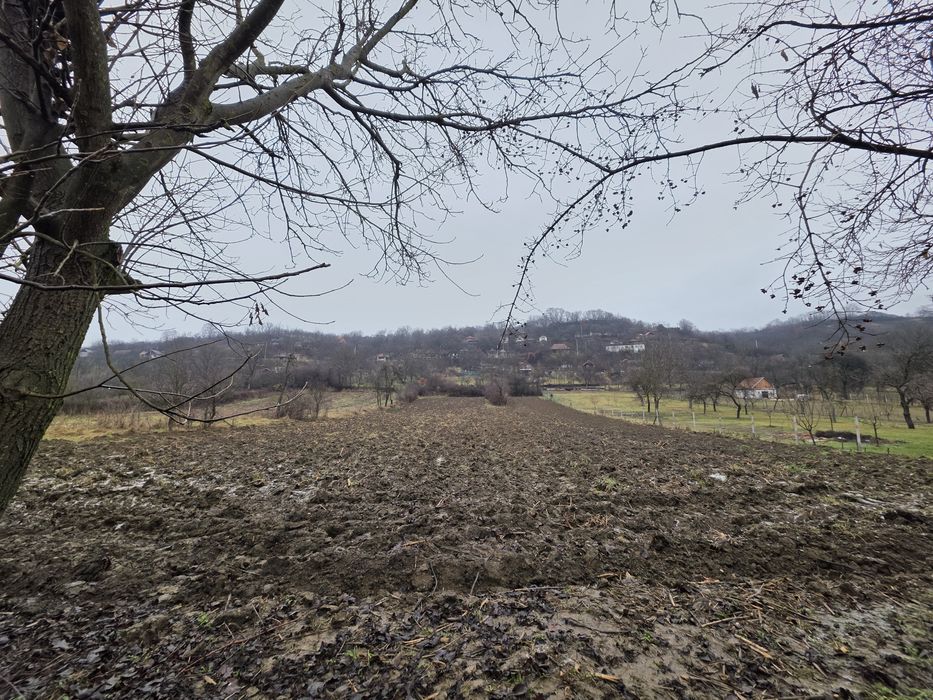 Casă si teren de vânzare