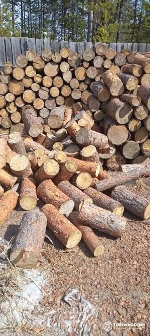 Продам дрова сосна чурками сухая