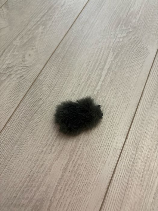 Sony zv e10 Mirroless + Tamron 17-70