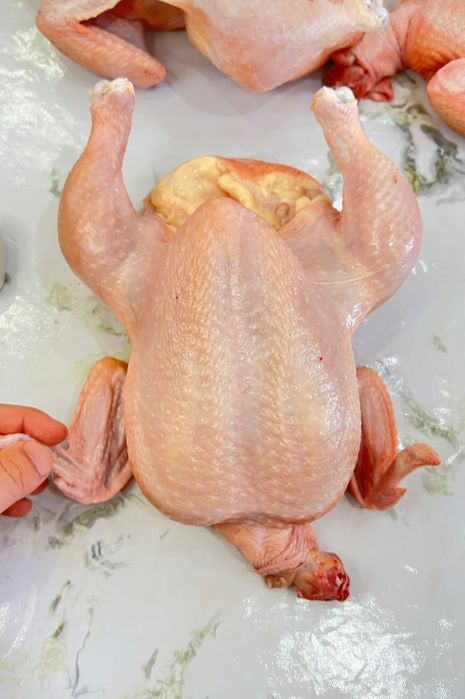 Мясо домашней птицы