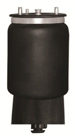 Въздушна възглавница, въздушно окачване за BMW 5-Series E39