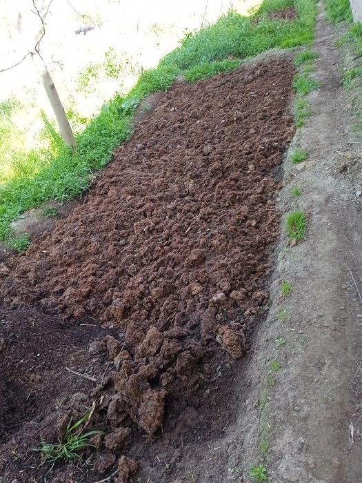 Biogumus-organik chiqindilar va Kaliforniya qizil chuvalchangi sotamiz