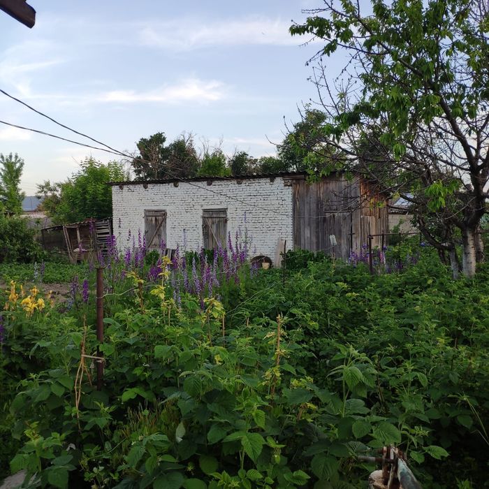 Продам дом в Пригородном