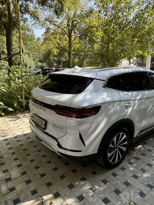 Champion elektra 605 idealniy 2024 yil