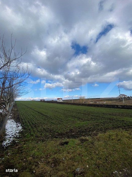Teren Intravilan de vanzare, 3900 mp, zona Suceava-Cumparatura