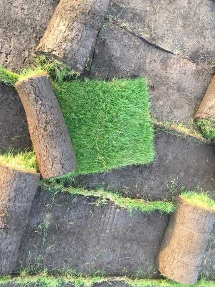 Gazon Rulou Profesional pentru Amenajări Exterioare