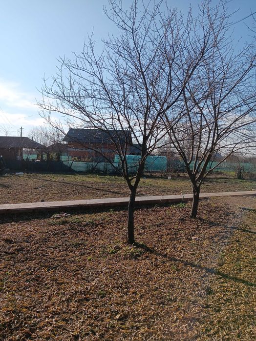 Vand casa Targsoru nou