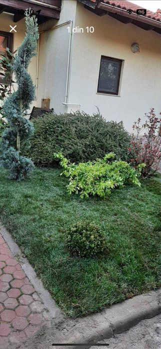 Solutia rapida pentru o gradina de vis - Gazon rulou