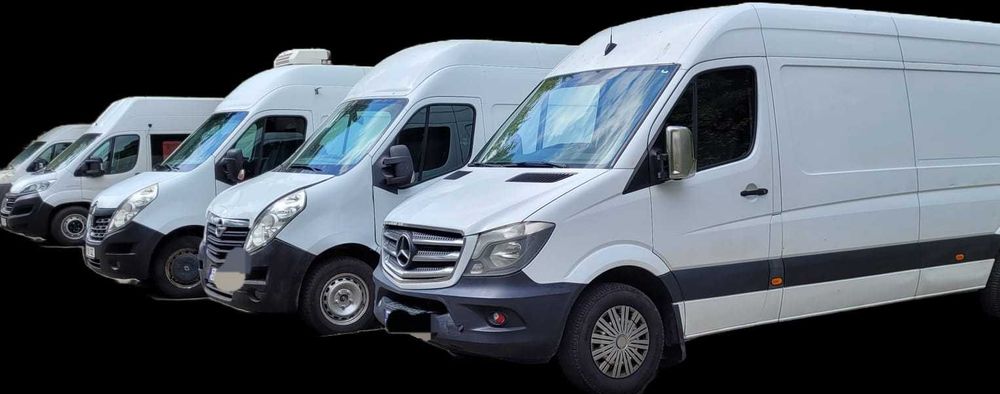 Inchiriez duba fara sofer