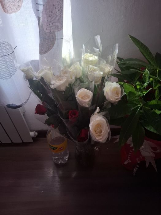 Гүлдер сатылады!