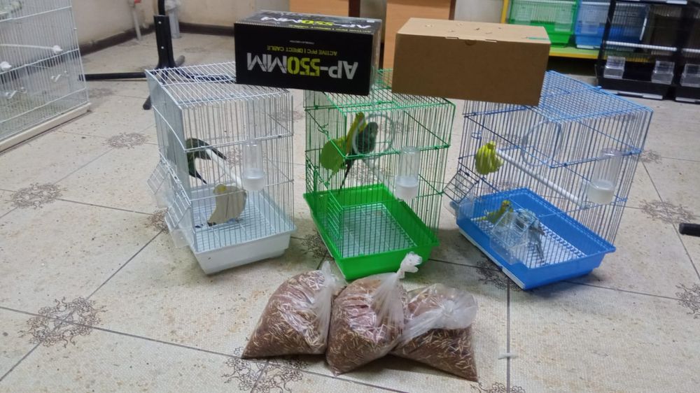 Попугай комбо комплект