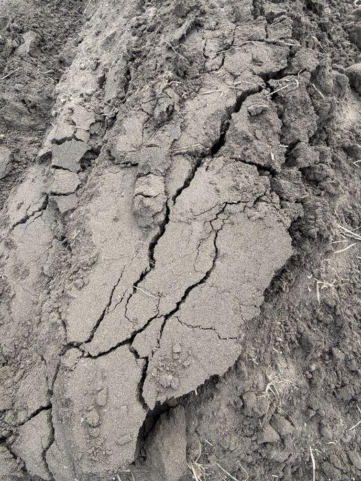 Продам чернозем