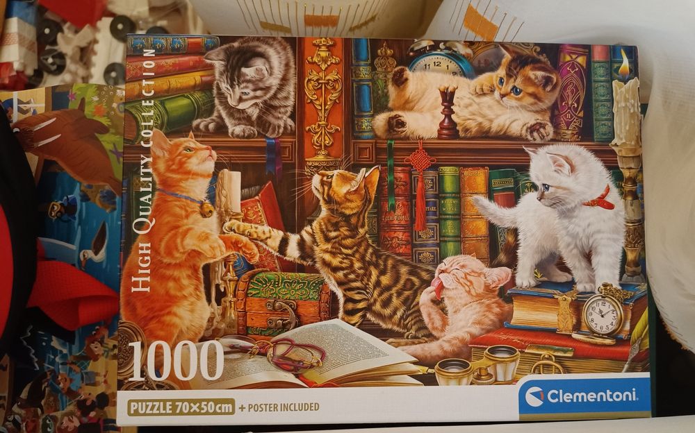 Пъзел с 1000 части