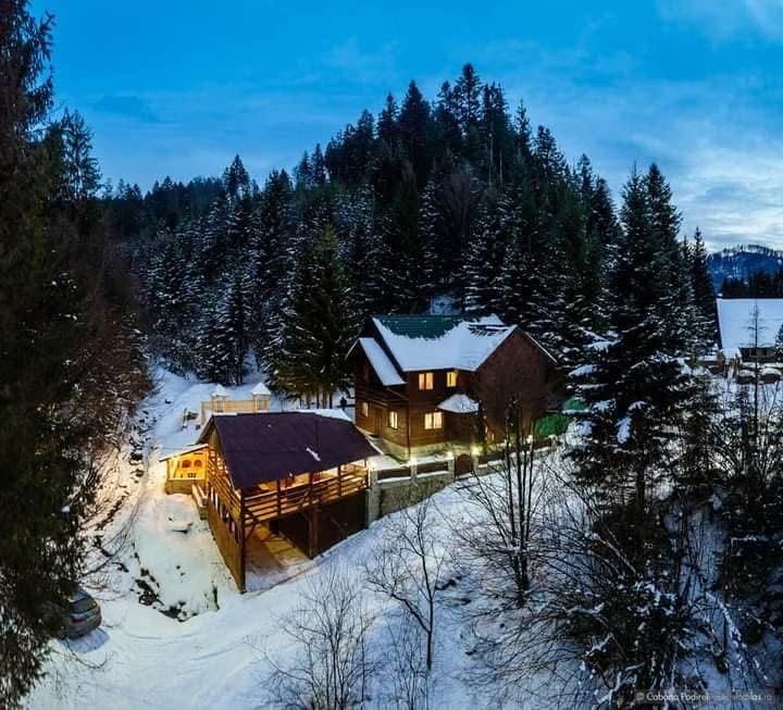 Cabană de vânzare( afacere la cheie)