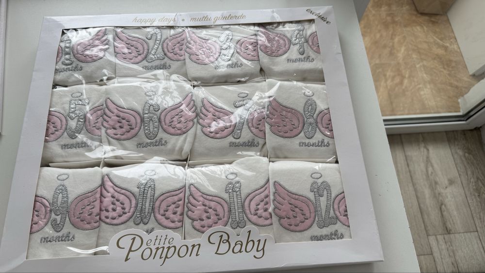 Набор бодиков по месяцам