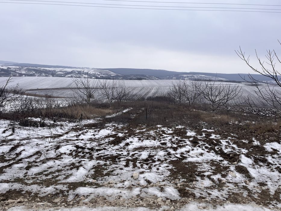 Teren intravilan in Iezer, (Padureni) jud. Botoșani