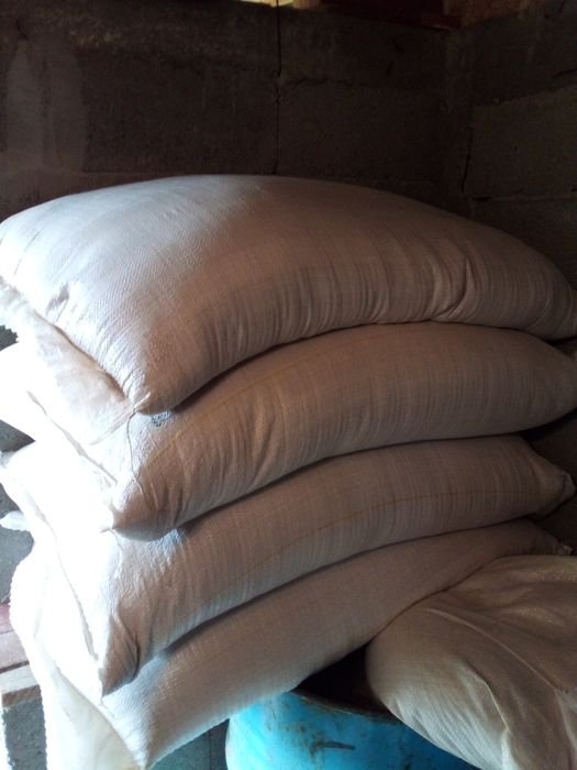 Cereale aduse gratuit la dumneavoastră acasă