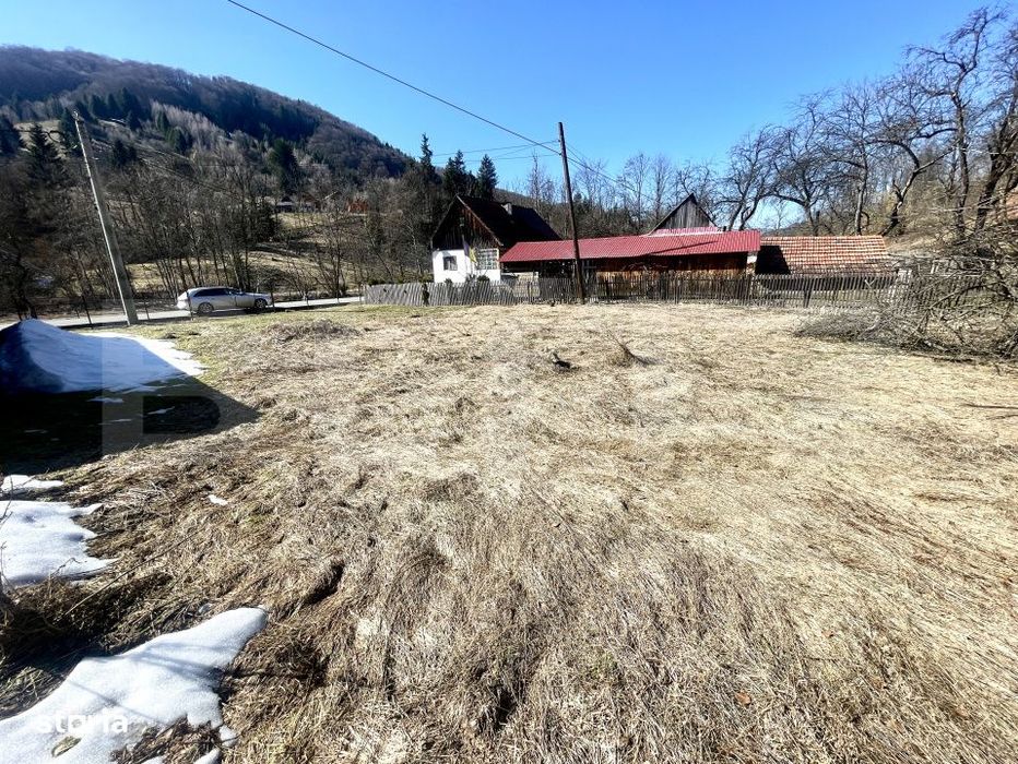 Casa de vacanta sau locuinta in Apuseni | 3300 mp teren | Avram Iancu