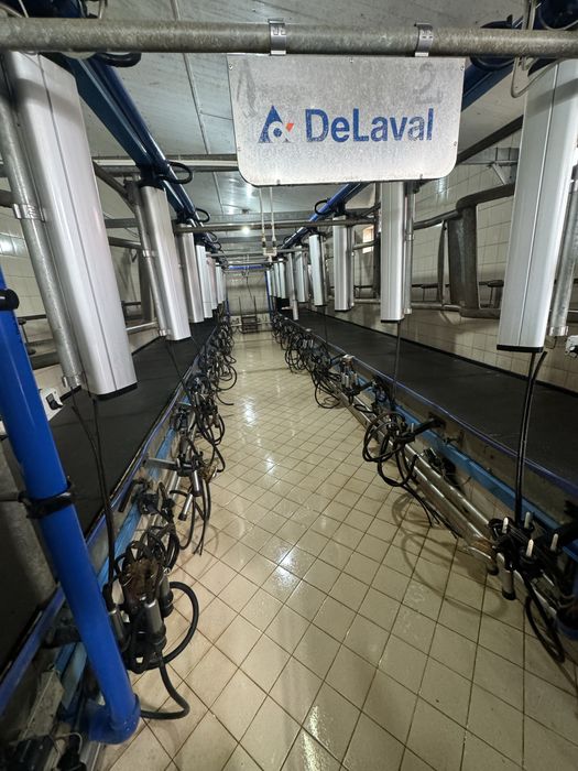 Sala de muls De Laval care a fost achizitioanata de noua !