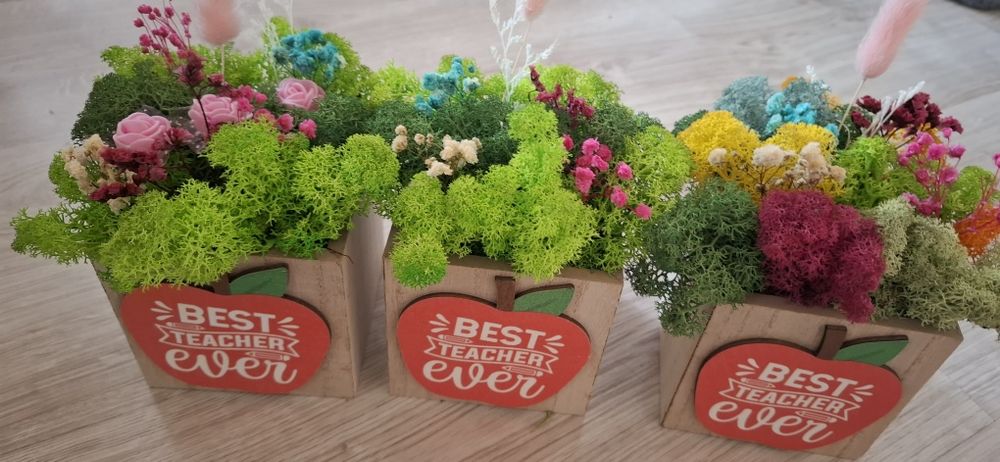 За най- добрия учител