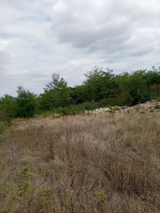 Продавам дворно място 4700 кв. м. на 18 км.  от морето.0