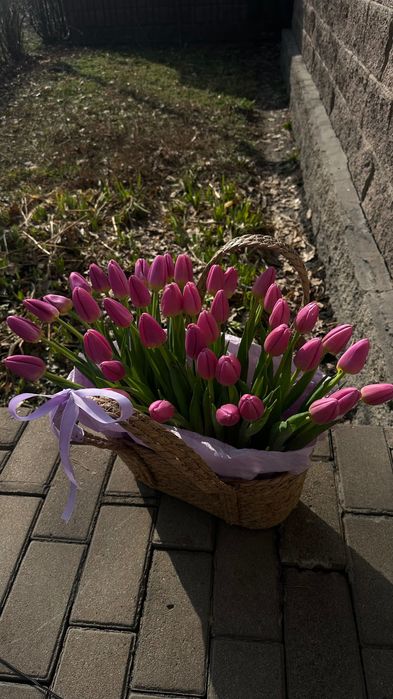 корзины из тюльпан по акции