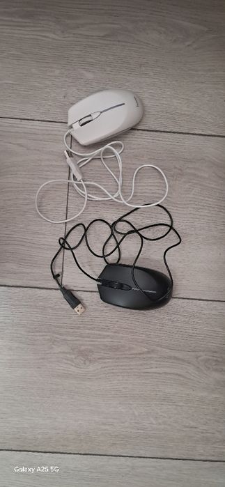 Hoco oq qora sichqoncha