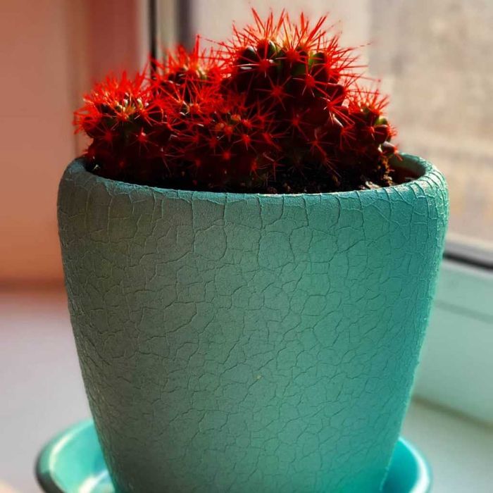 Порошковая краска крокодил от Etika, Турция. Краска с первых рук