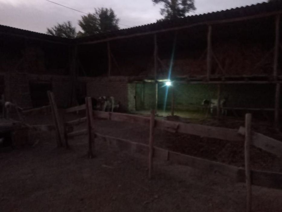 Уй сотилади Ўрта Чирчик туманида