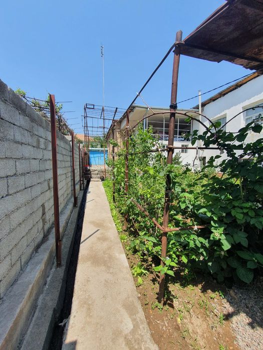 Срочно продам дом в Чирчике