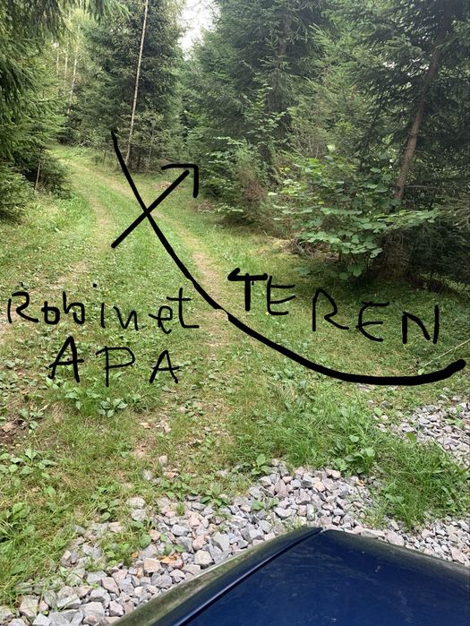 De vânzare teren la munte, zona Liban, Harghita, în apropiere lacul Zetea, 6 €/mp, negociabil în functie de suprafată.