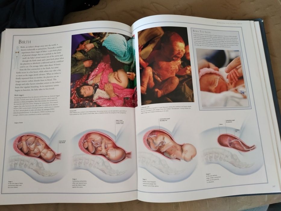 Атлас анатомический